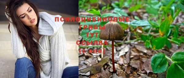 метадон Протвино