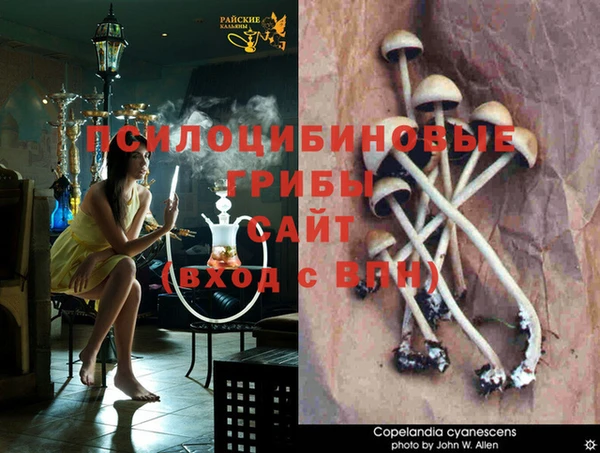 кокс Кондопога
