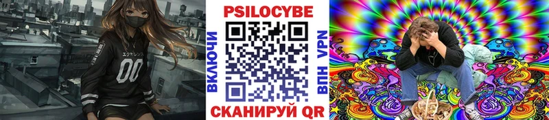 Псилоцибиновые грибы Psilocybe  MEGA tor  Севск  наркошоп 